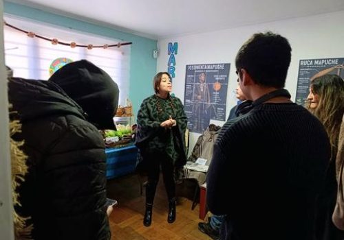 Facilitadora comparte conocimientos sobre cultura mapuche con participantes de una jornada territorial