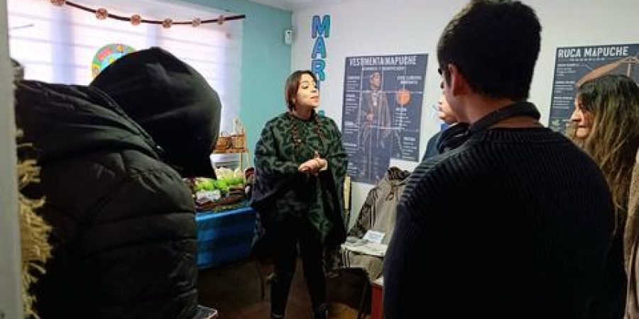 Facilitadora comparte conocimientos sobre cultura mapuche con participantes de una jornada territorial