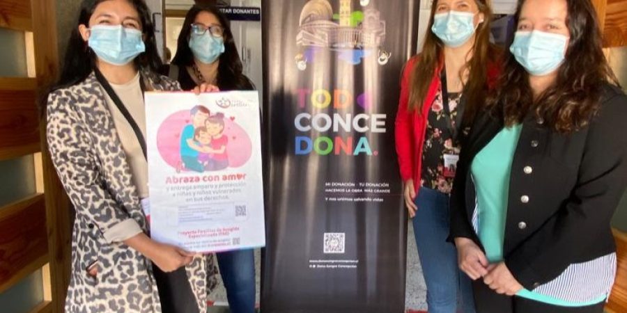 donacion8